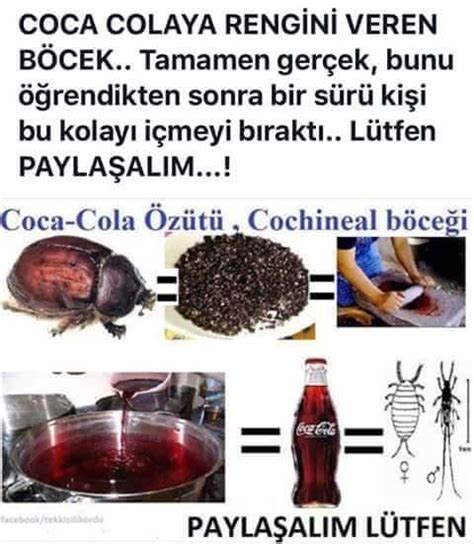coca cola ya rengini veren böcek